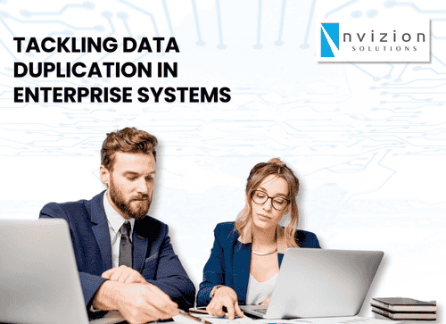 Tackling Data Duplication in Enterprise Systems