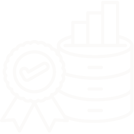 Data Quality Offering